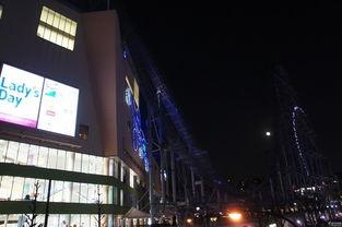 东京万字会最新爆料,最新爆料背后的惊人真相